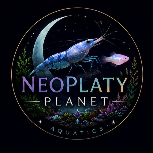 NeoPlatyPlanet