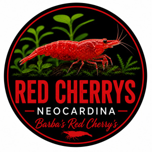 Barba’s Red cherry’s