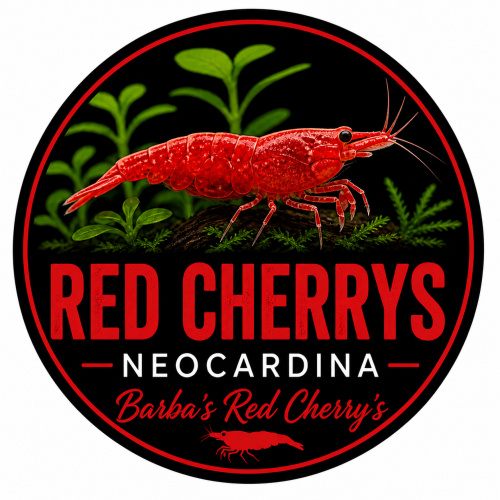 Barba’s Red cherry’s
