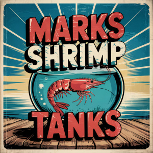 Mark's Shrimp Tanks